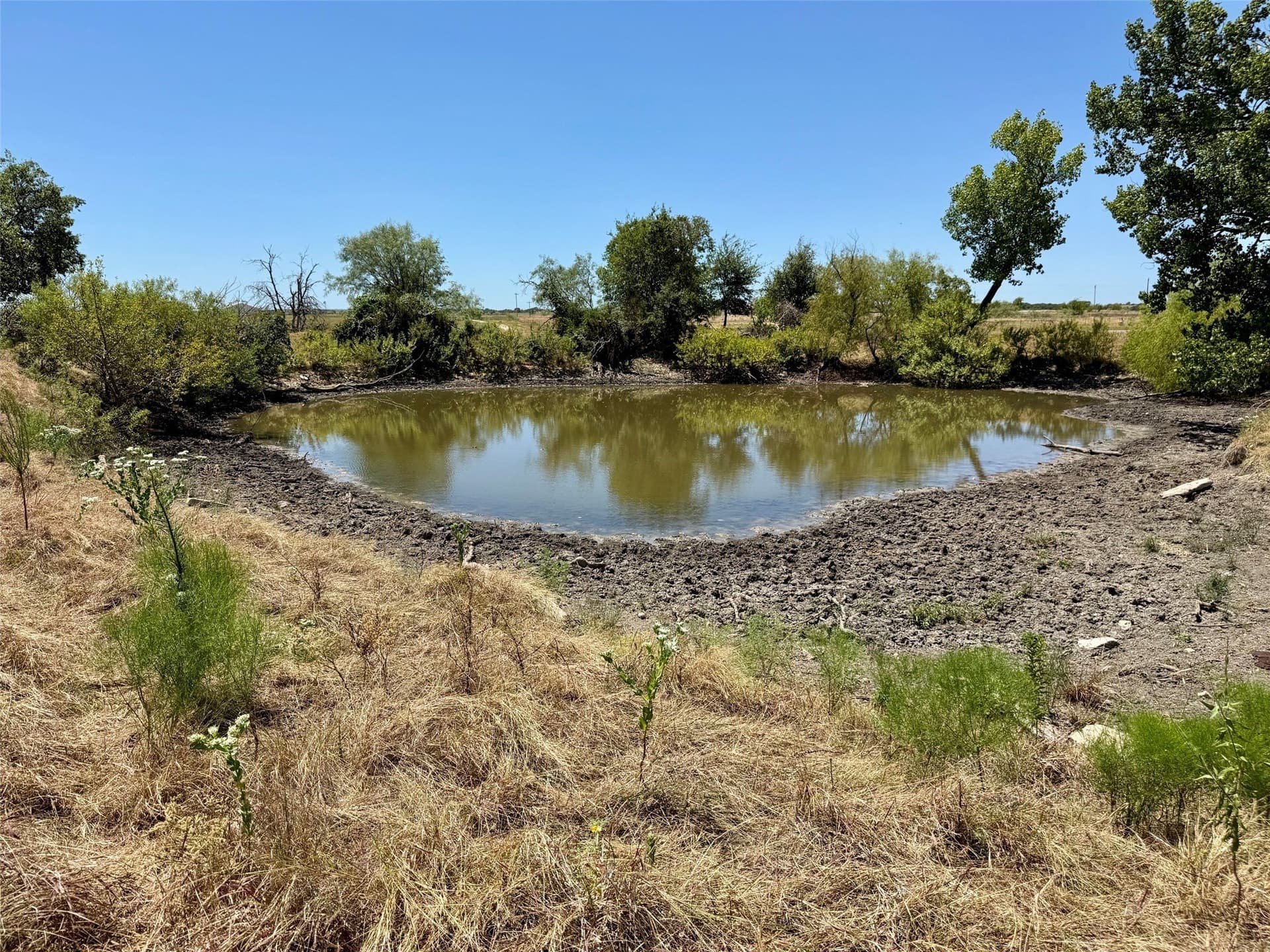 201.5 acres in Hamilton County - photo 19