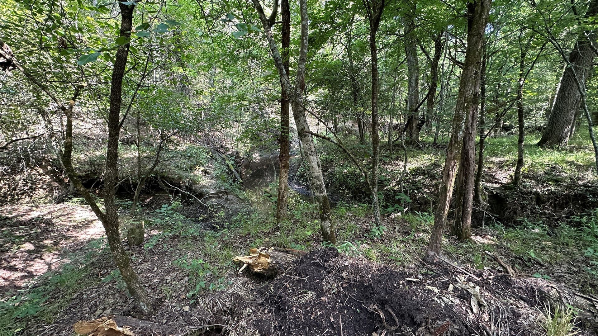130 acres in Hopkins County featured view