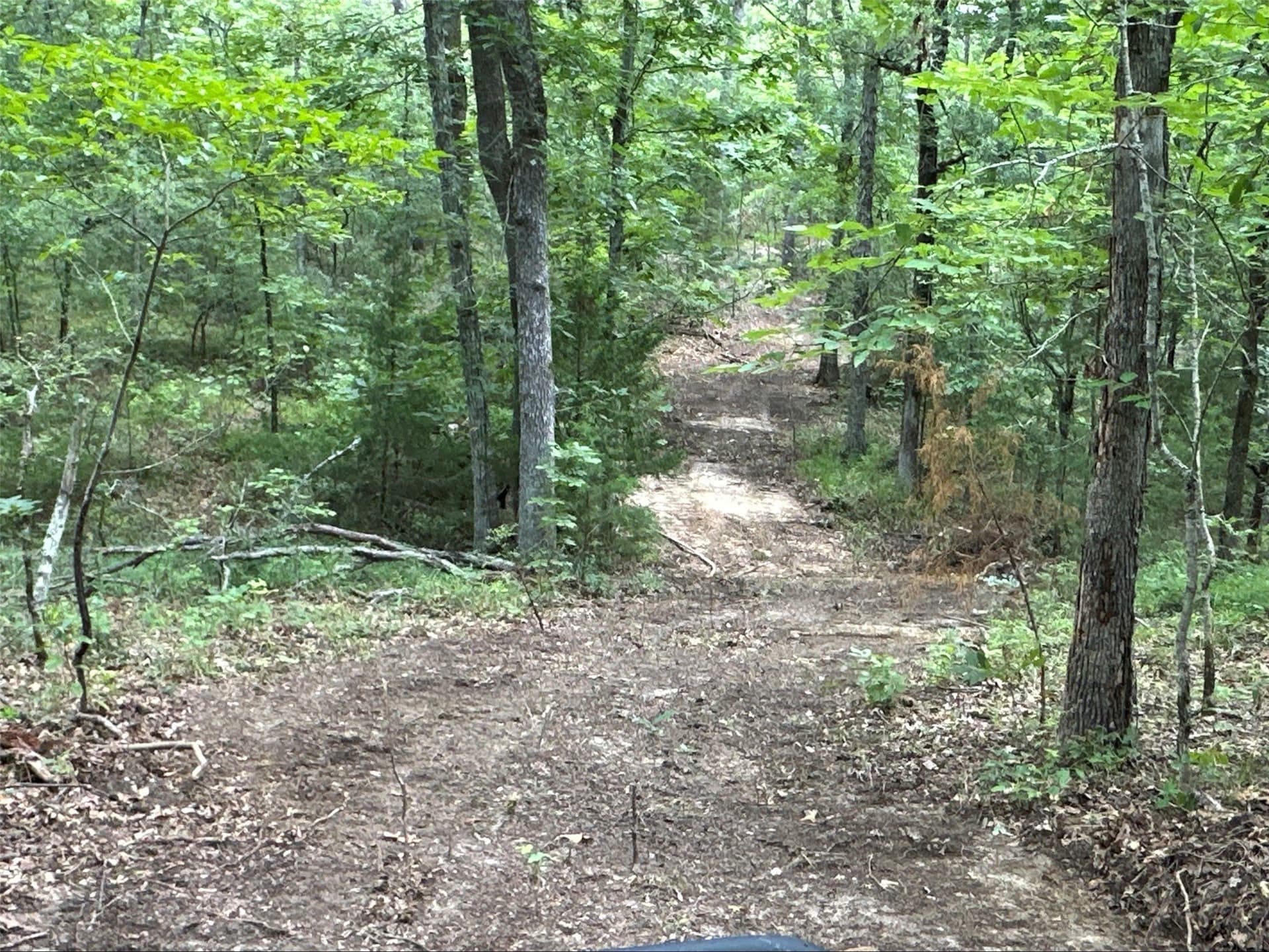130 acres in Hopkins County gallery image 2