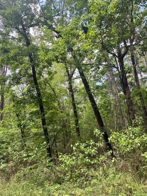 0.73 acres in Texas County featured view
