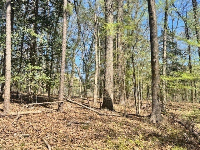 0.73 acres in Texas County gallery image 2