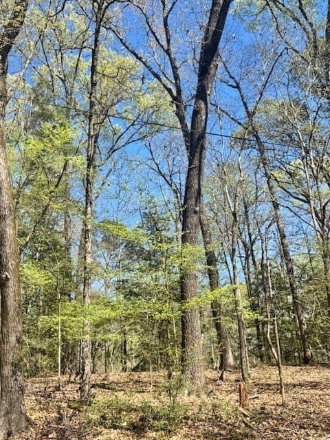 0.73 acres in Texas County gallery image 3