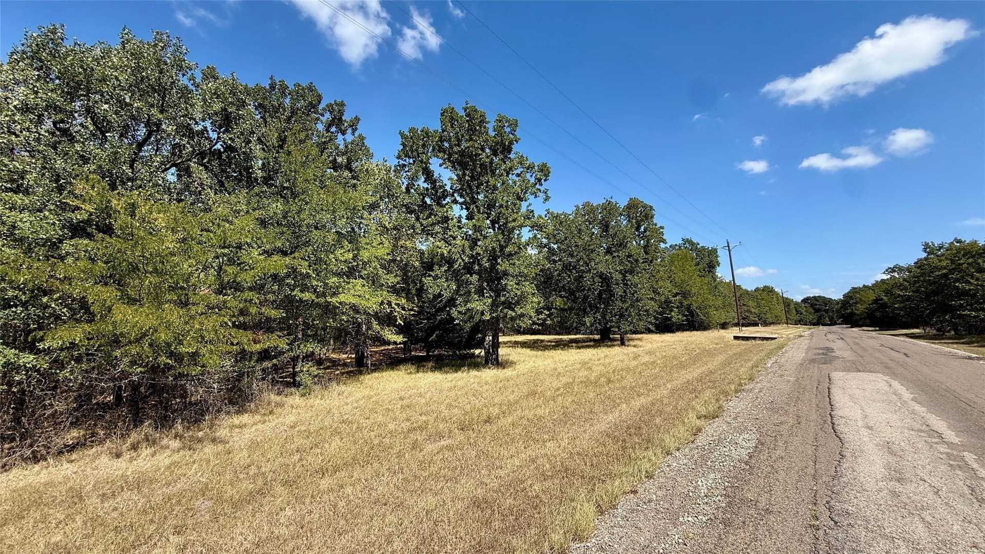 0.5 acres in Navarro County - photo 5