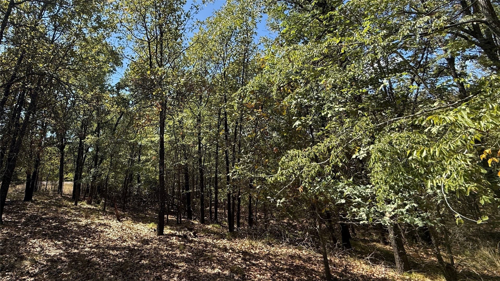 0.5 acres in Navarro County - photo 24