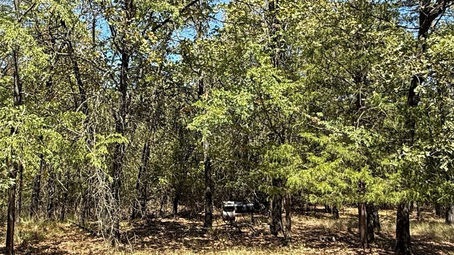 0.5 acres in Navarro County - photo 23