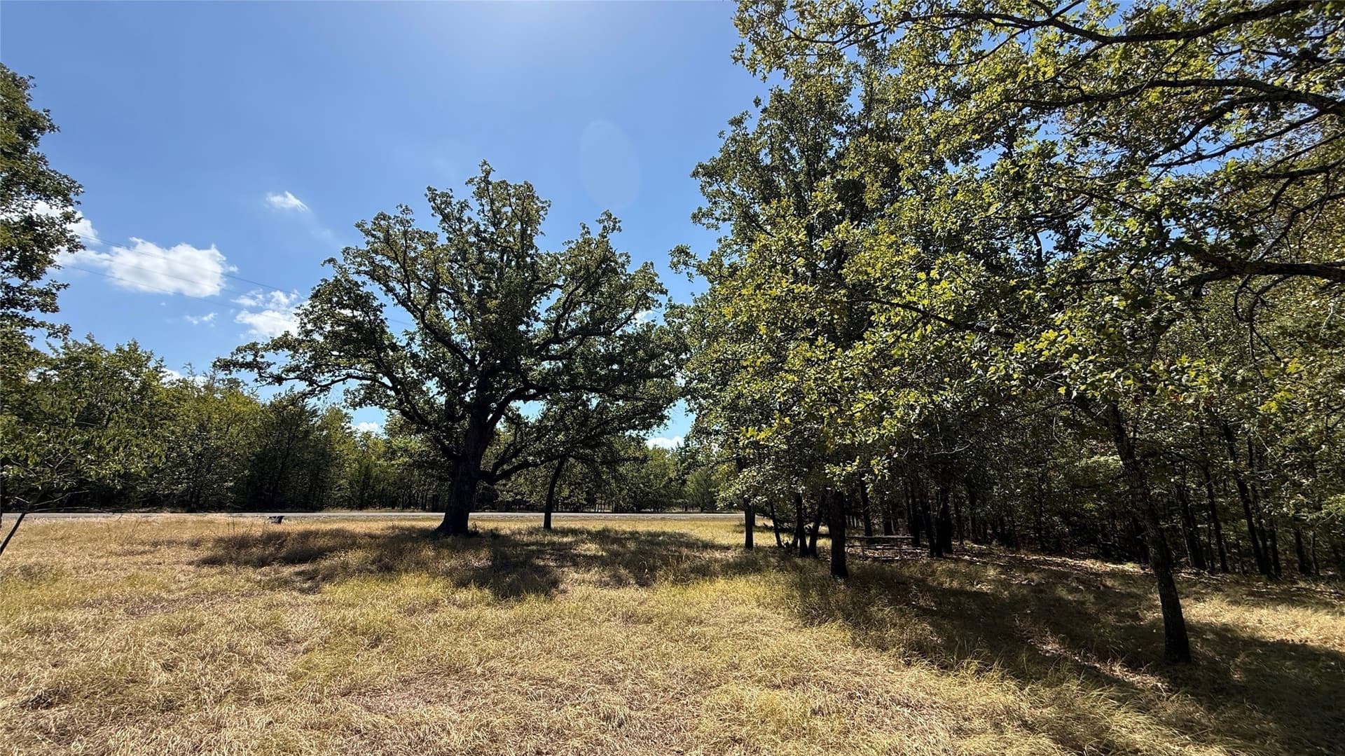 0.5 acres in Navarro County - photo 25