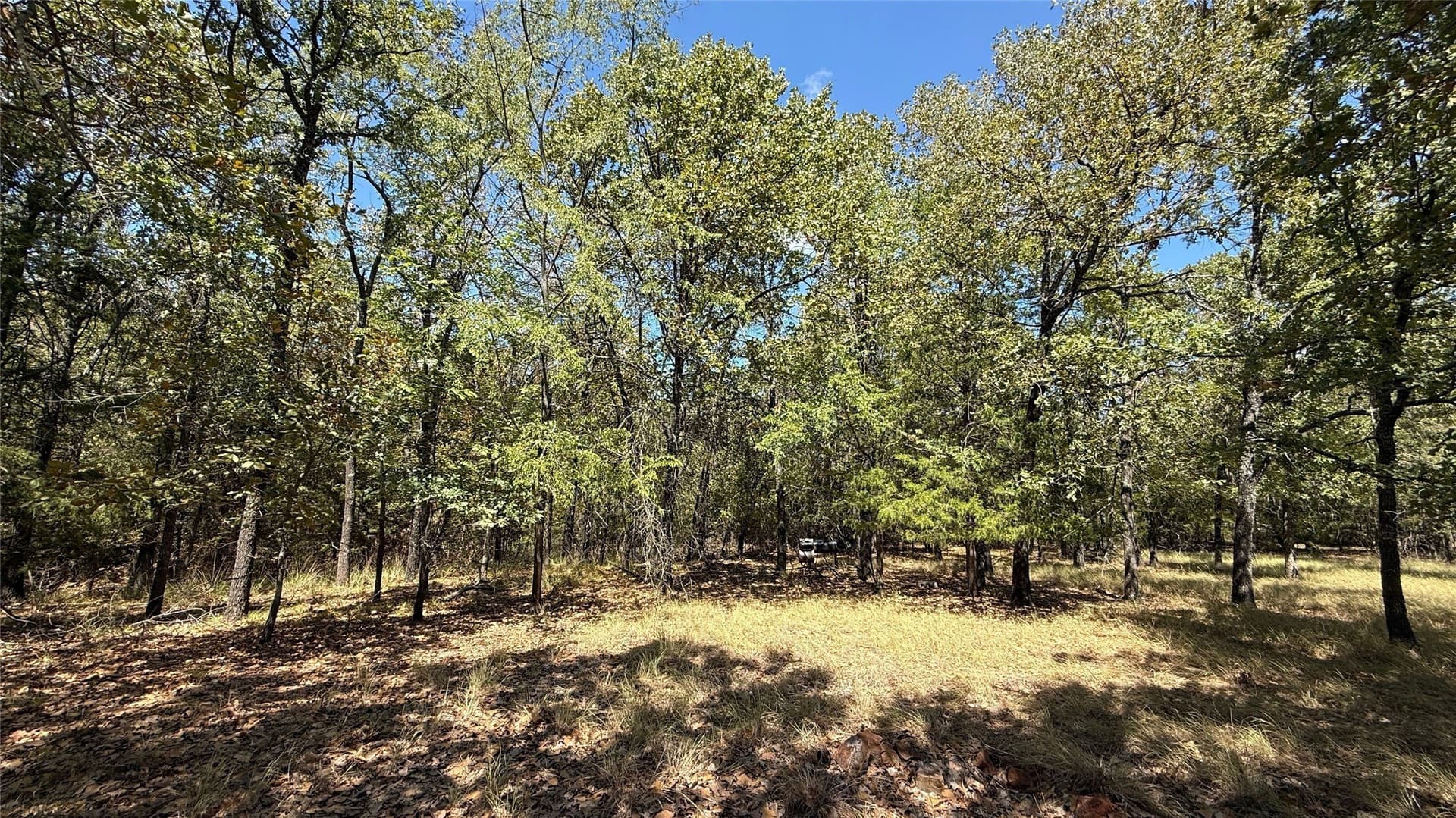 0.5 acres in Navarro County - photo 19