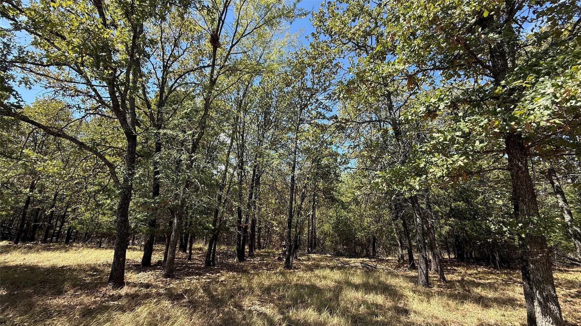 0.5 acres in Navarro County - photo 15
