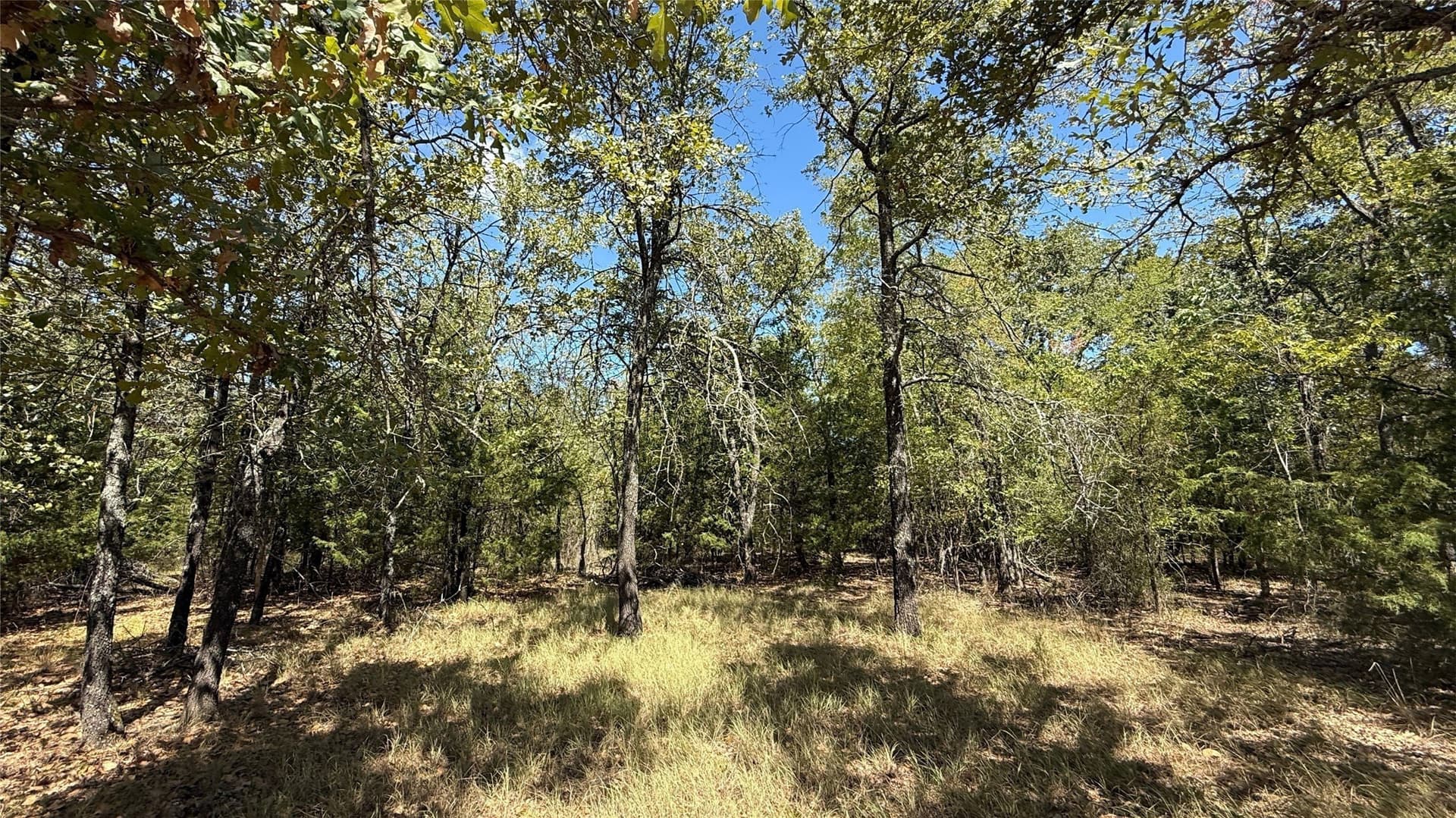 0.5 acres in Navarro County - photo 20