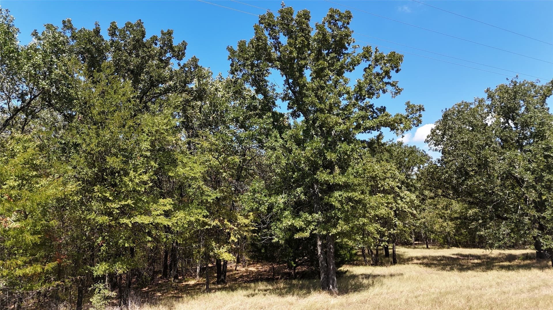 0.5 acres in Navarro County - photo 4