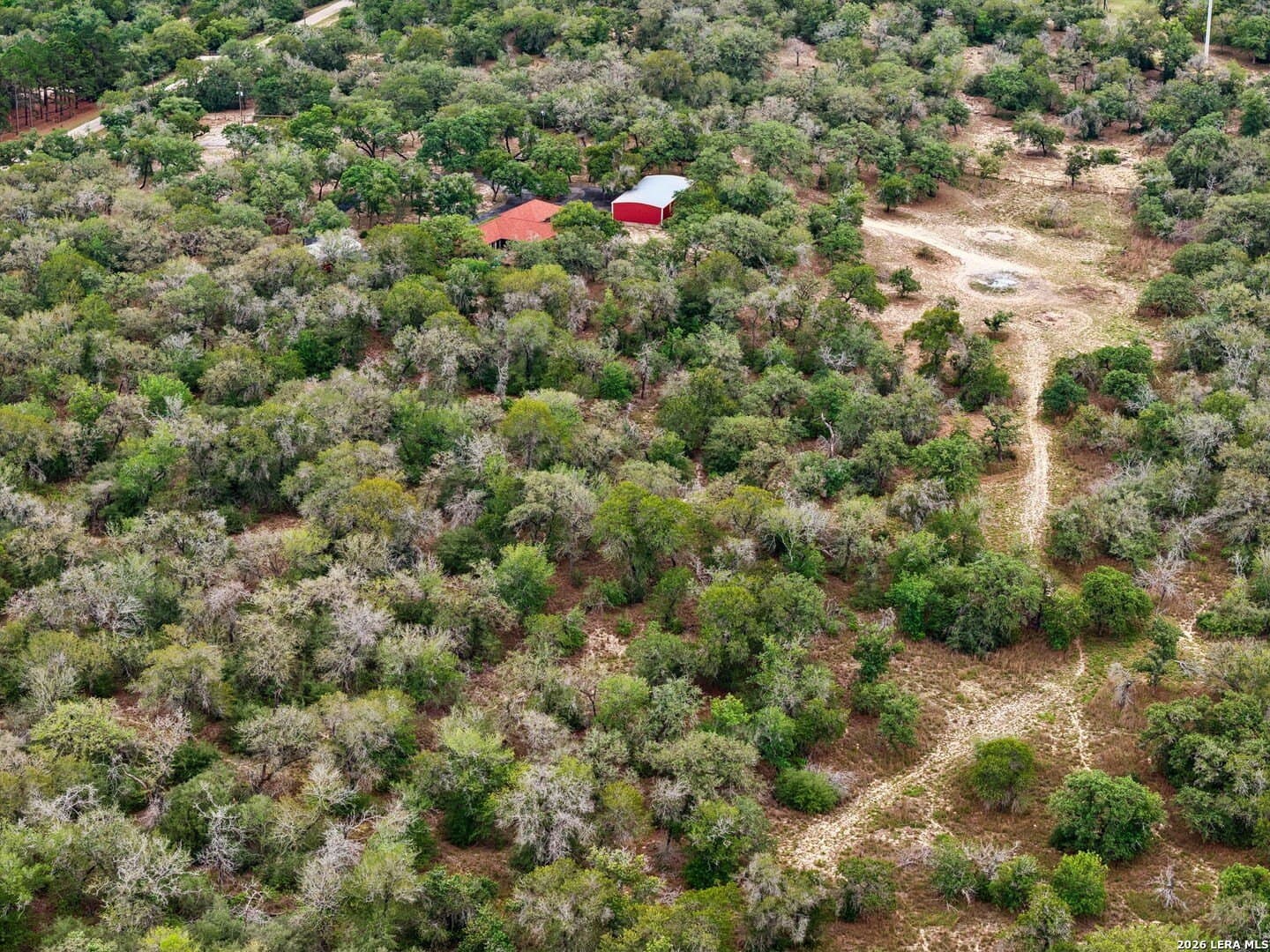 20 acres in Guadalupe County gallery image 3