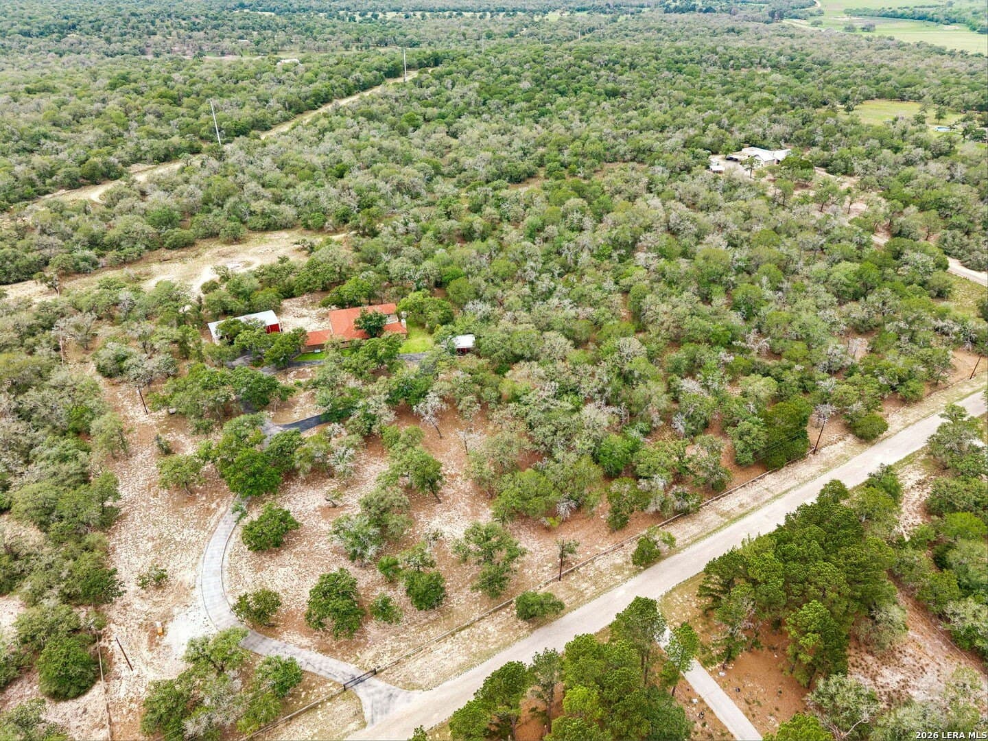 20 acres in Guadalupe County gallery image 2