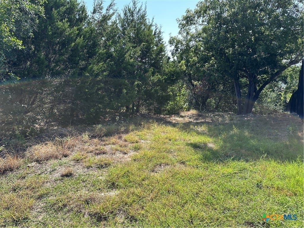 0.8 acres in Bell County gallery image 2