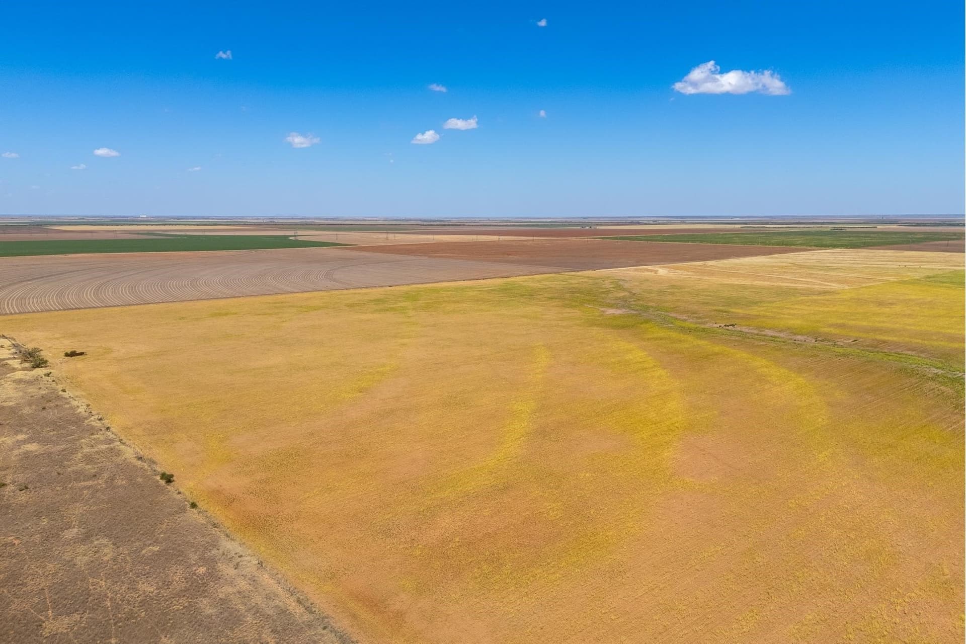 198.56 acres in Jones County - photo 22