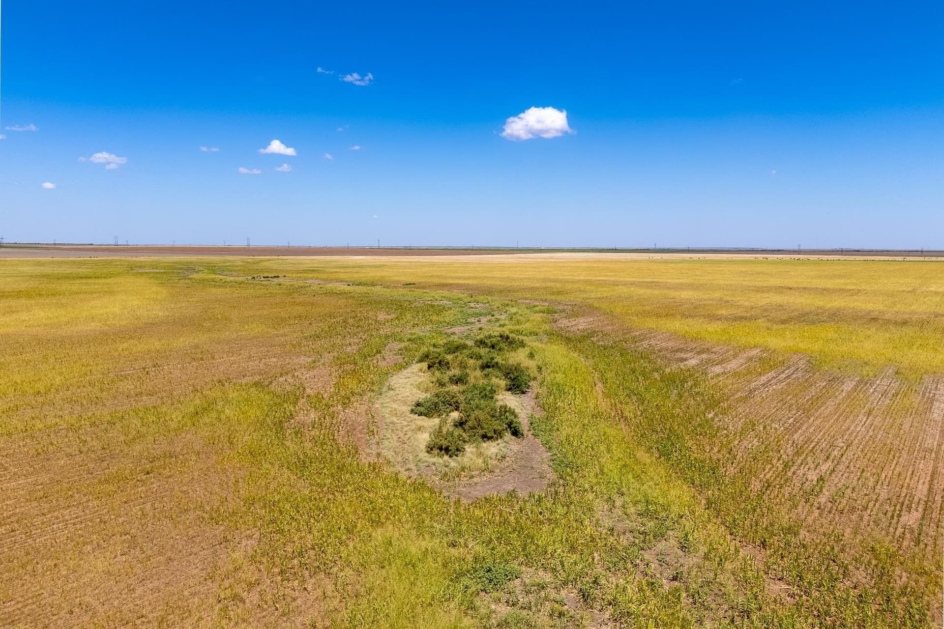 198.56 acres in Jones County - photo 17