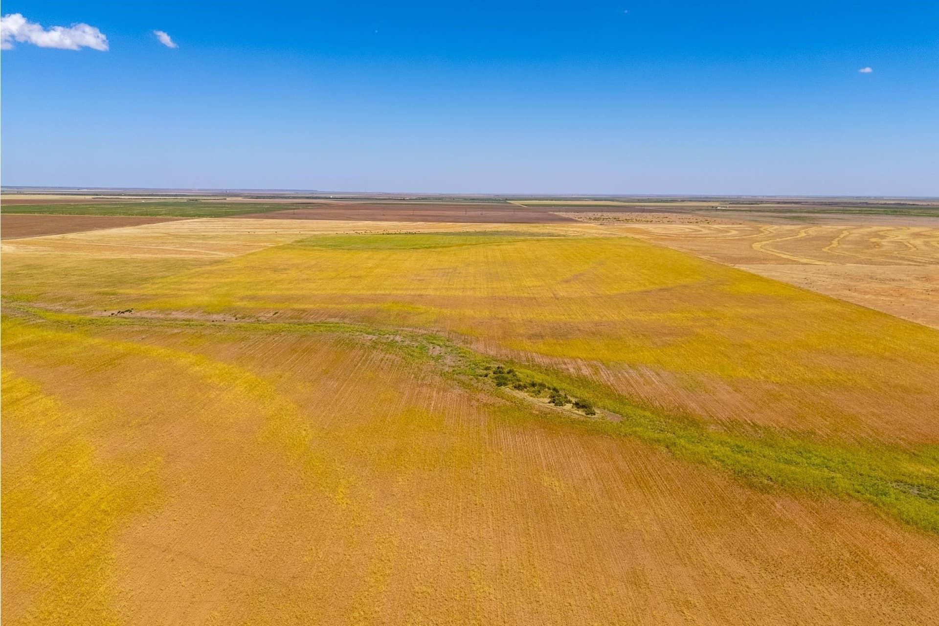 198.56 acres in Jones County - photo 25