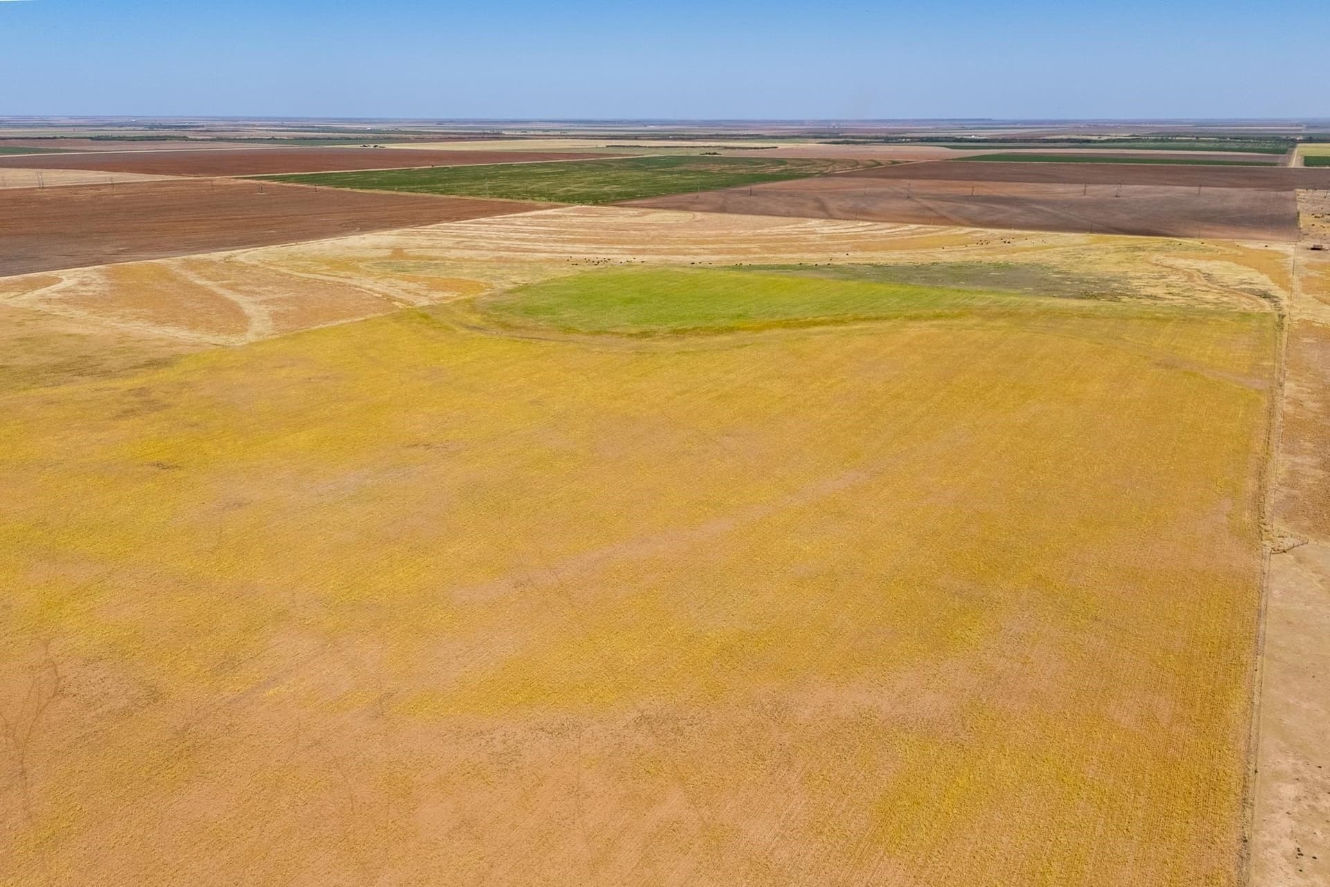 198.56 acres in Jones County - photo 11