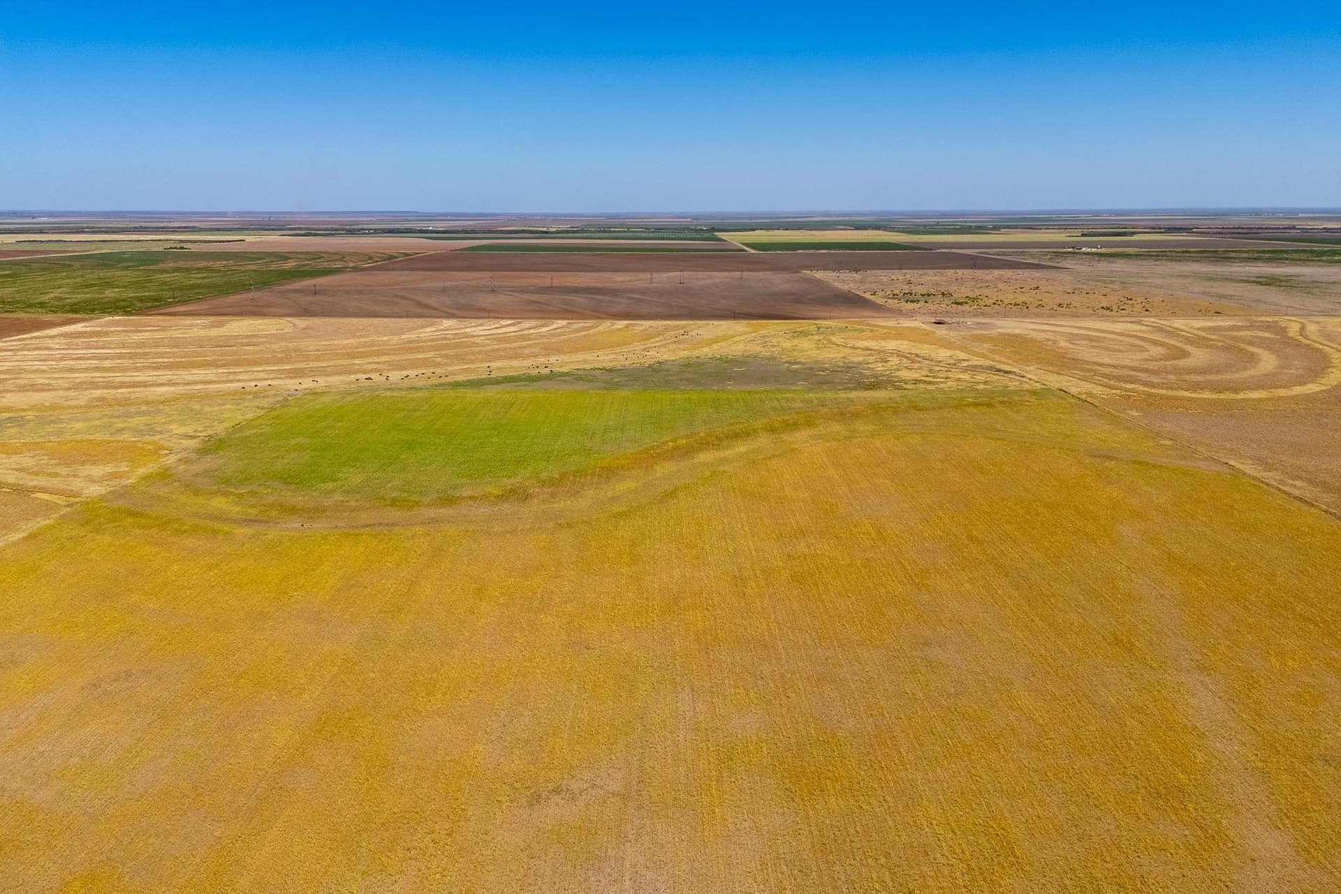198.56 acres in Jones County - photo 14