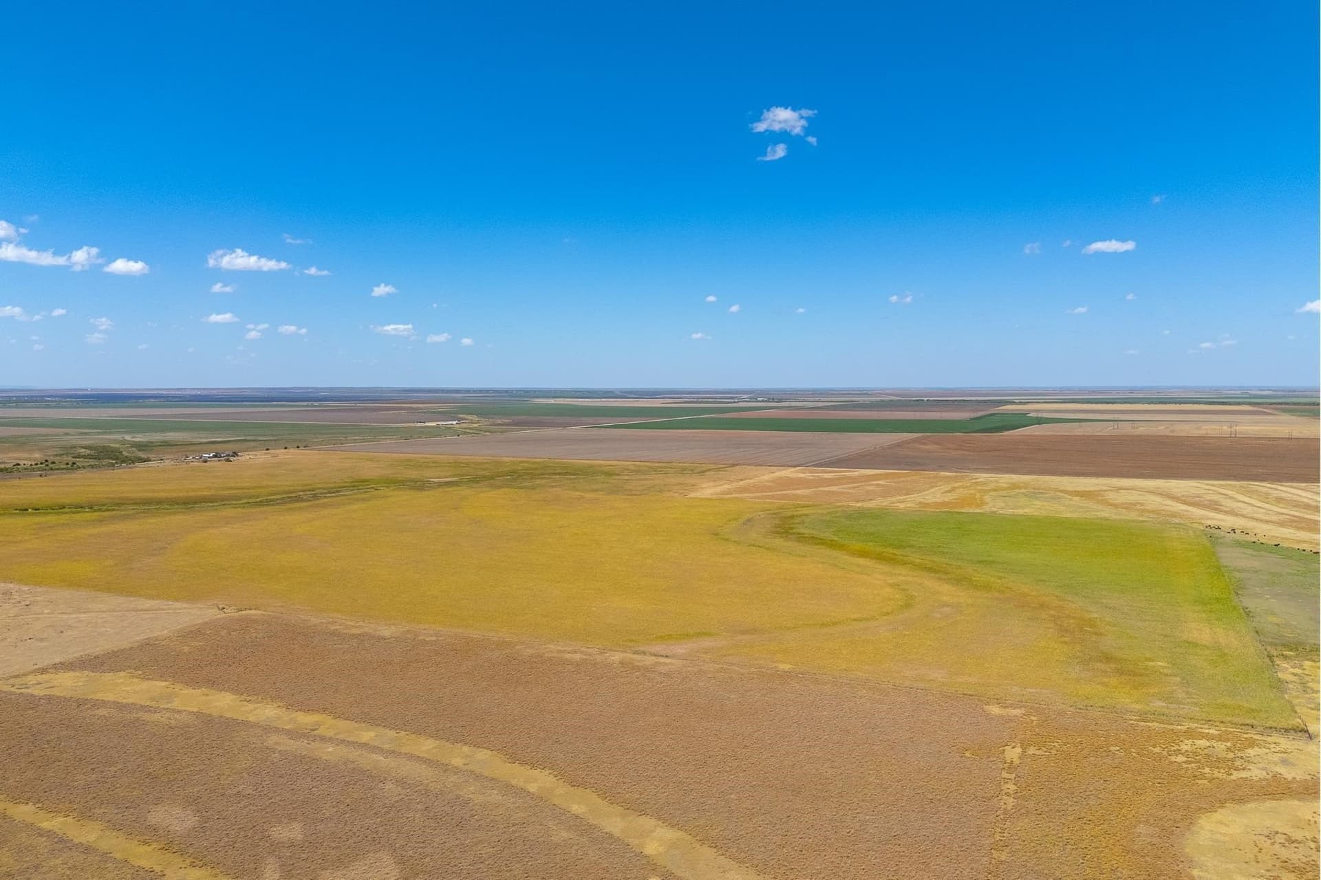 198.56 acres in Jones County - photo 9