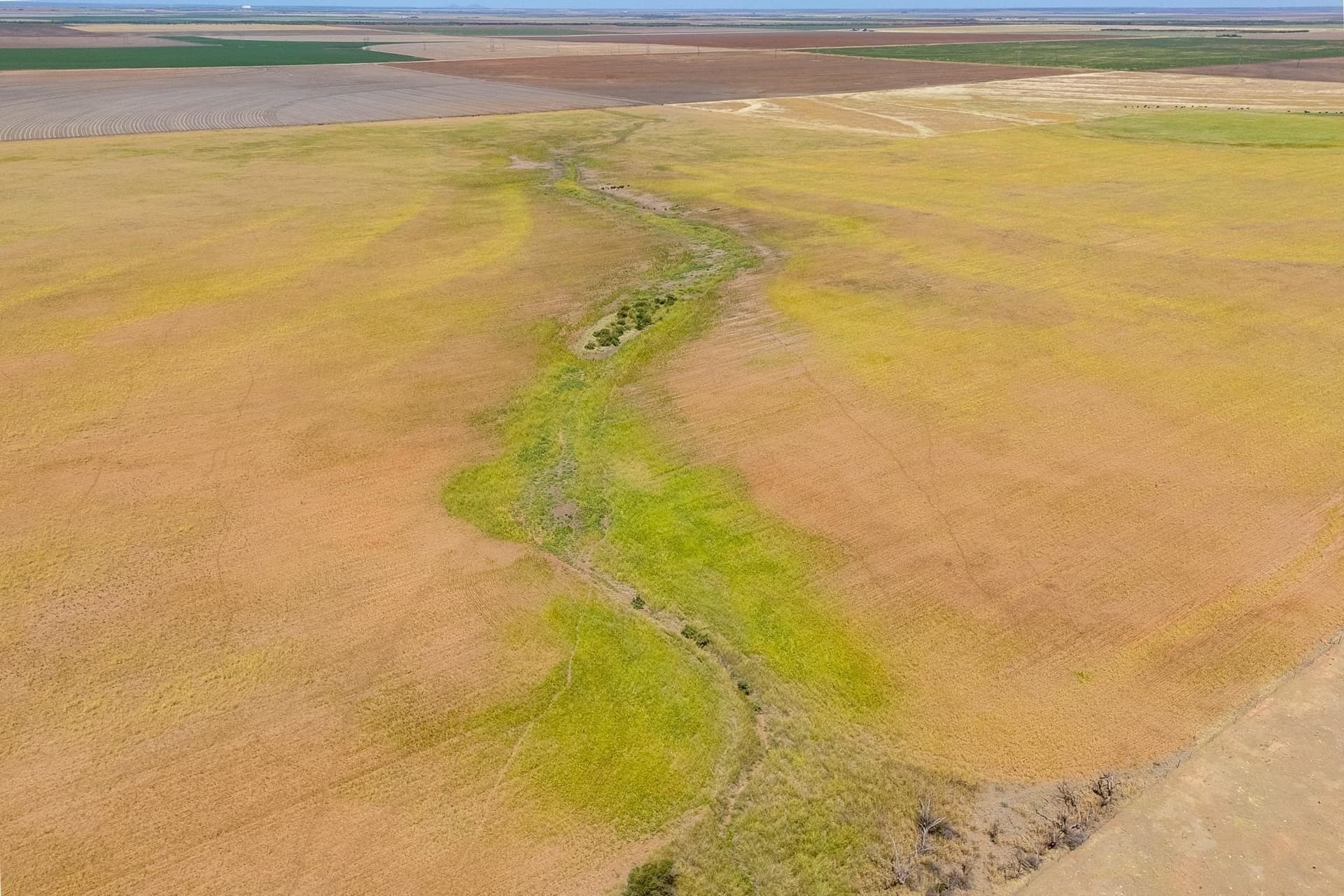 198.56 acres in Jones County - photo 10