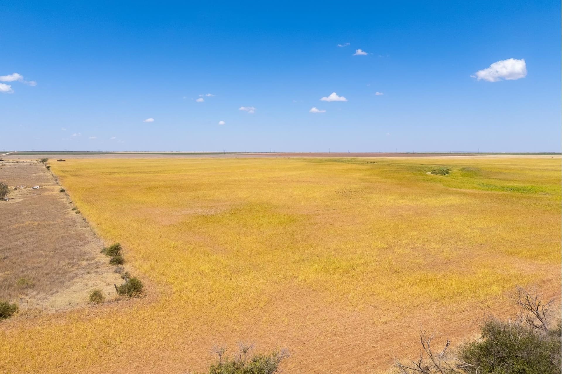 198.56 acres in Jones County - photo 18