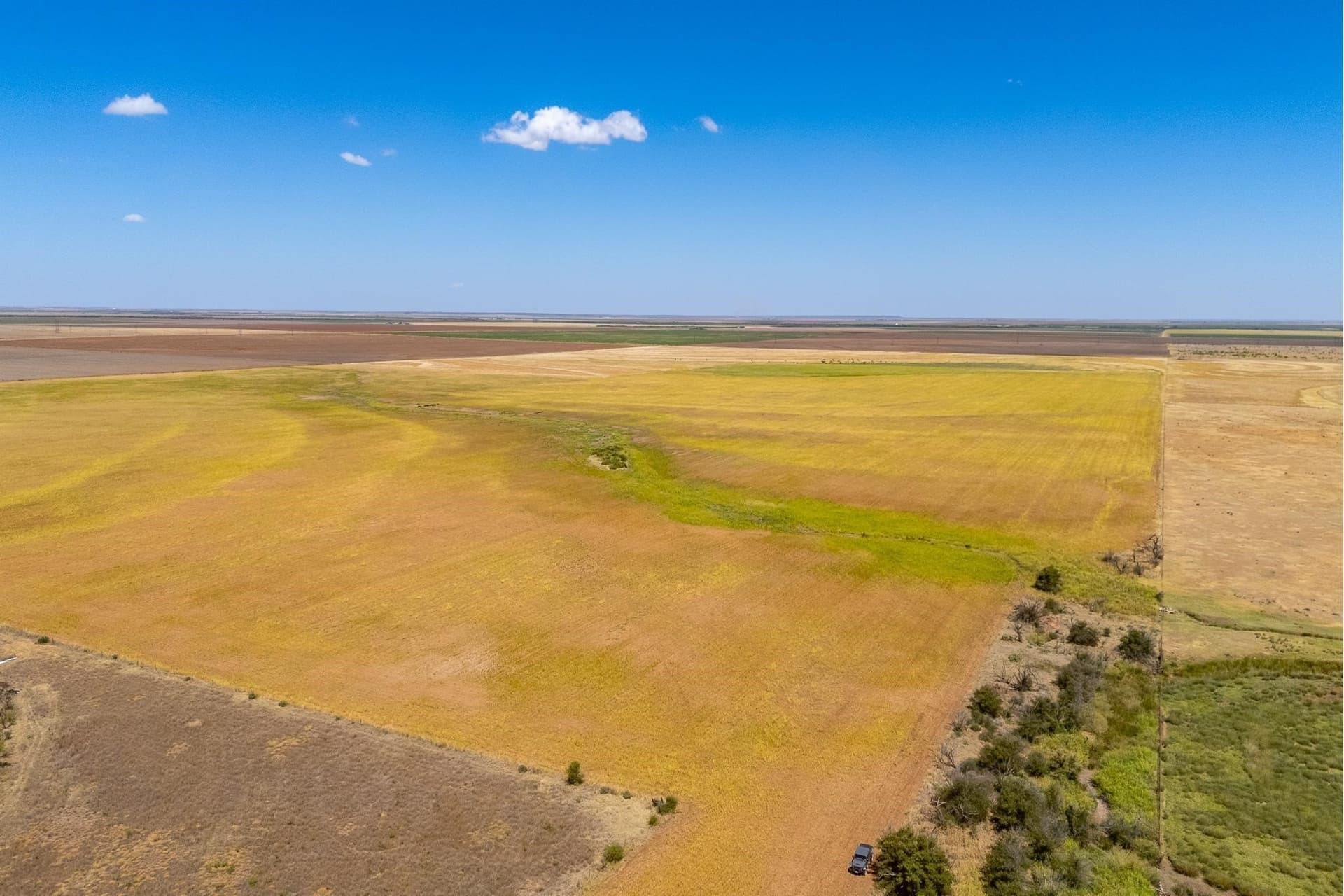 198.56 acres in Jones County - photo 24
