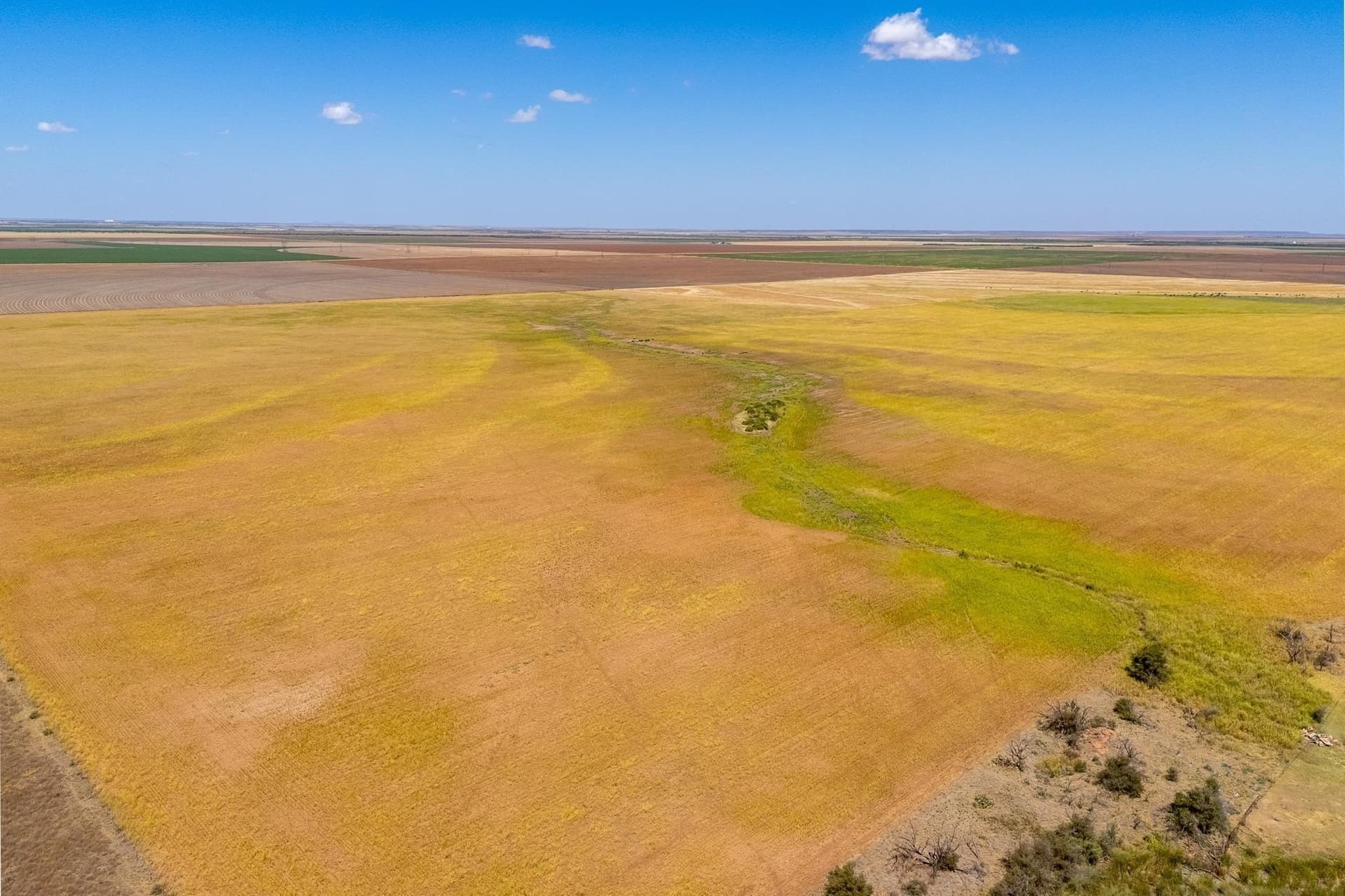 198.56 acres in Jones County - photo 23