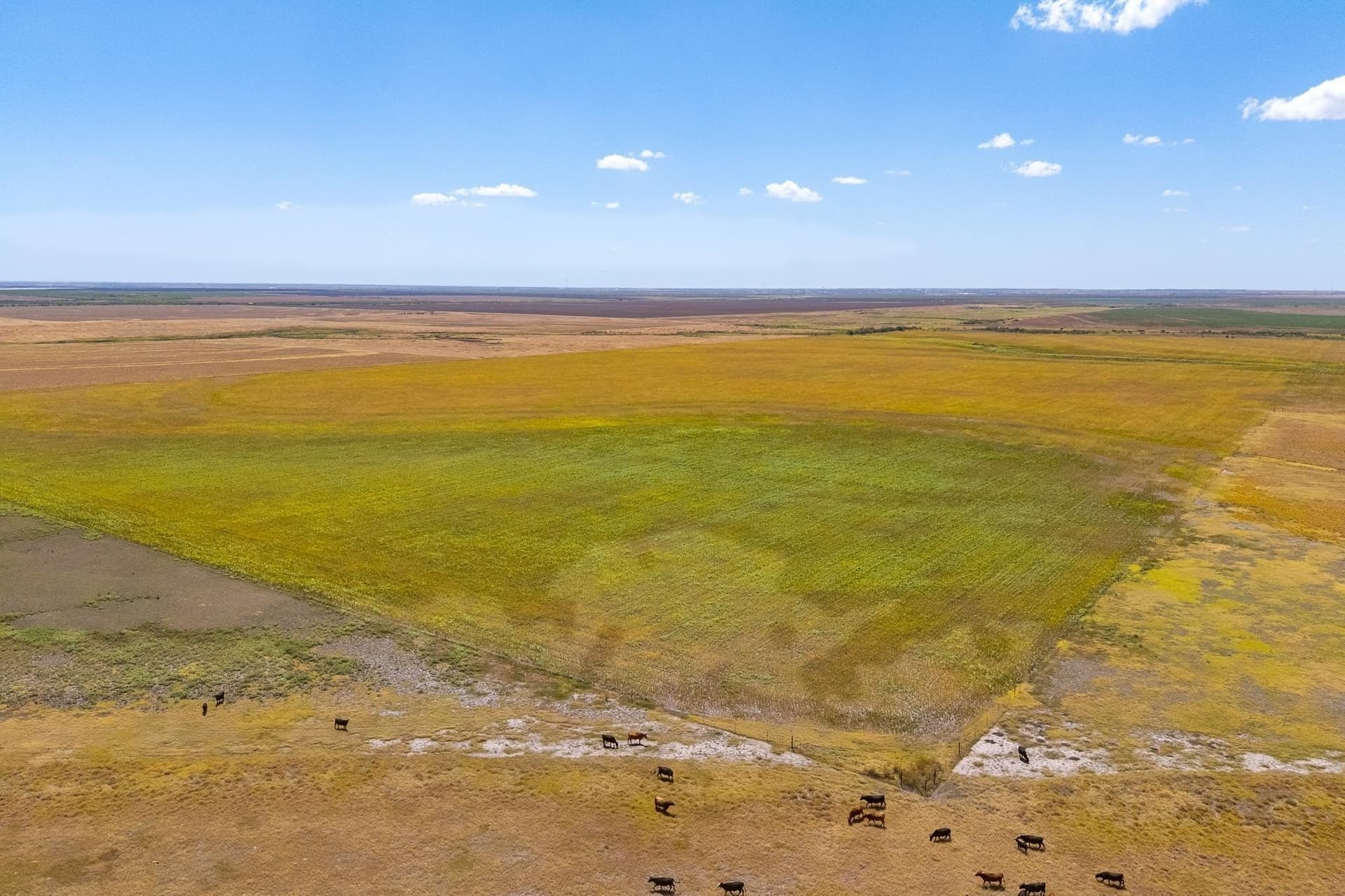 198.56 acres in Jones County - photo 12