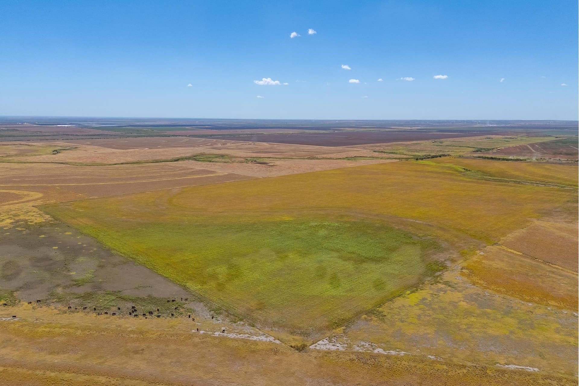 198.56 acres in Jones County - photo 7