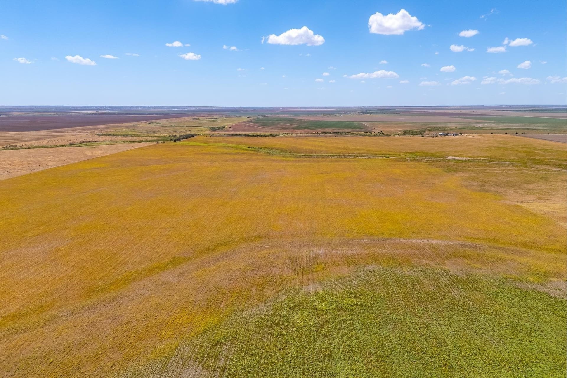 198.56 acres in Jones County - photo 13