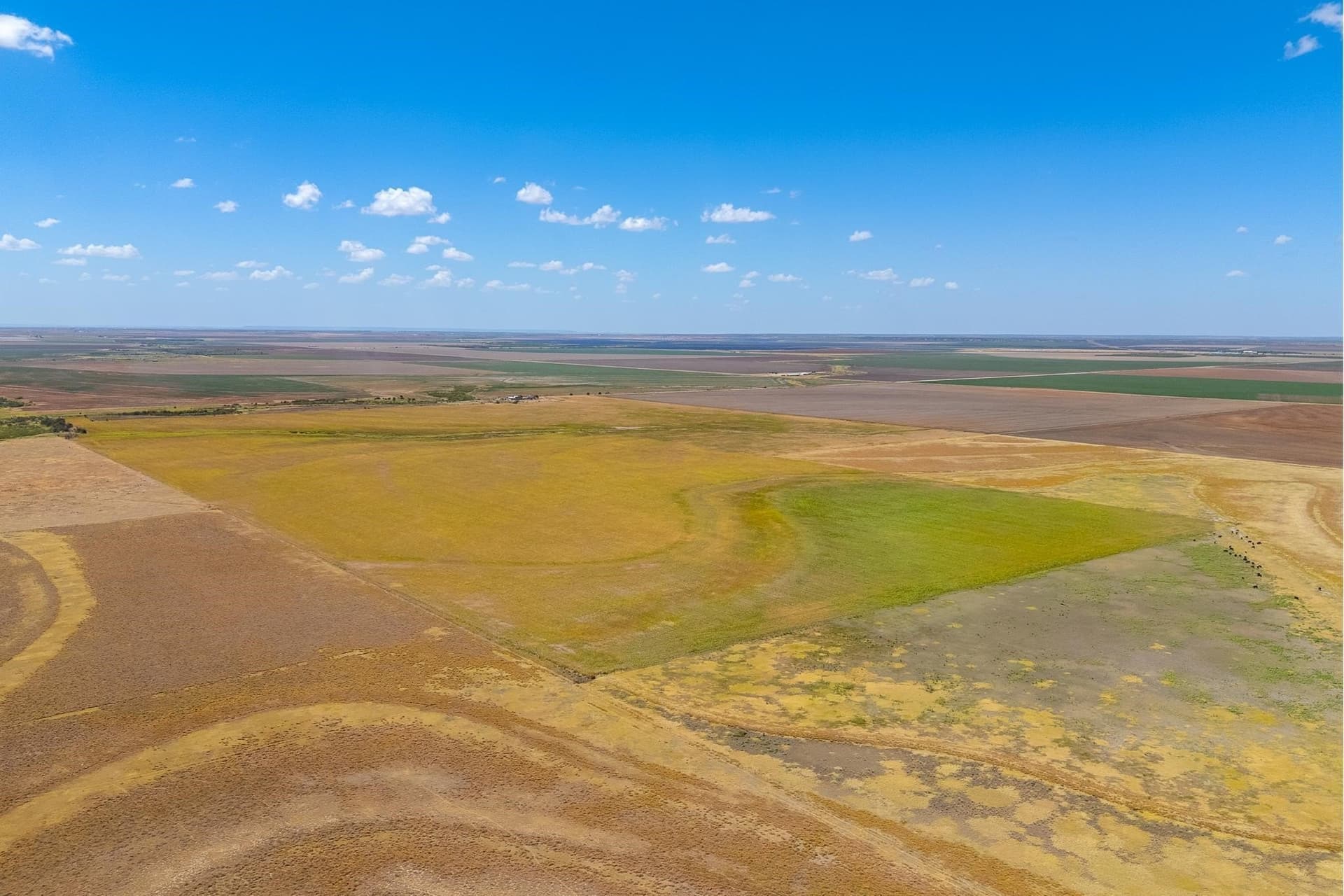 198.56 acres in Jones County - photo 8