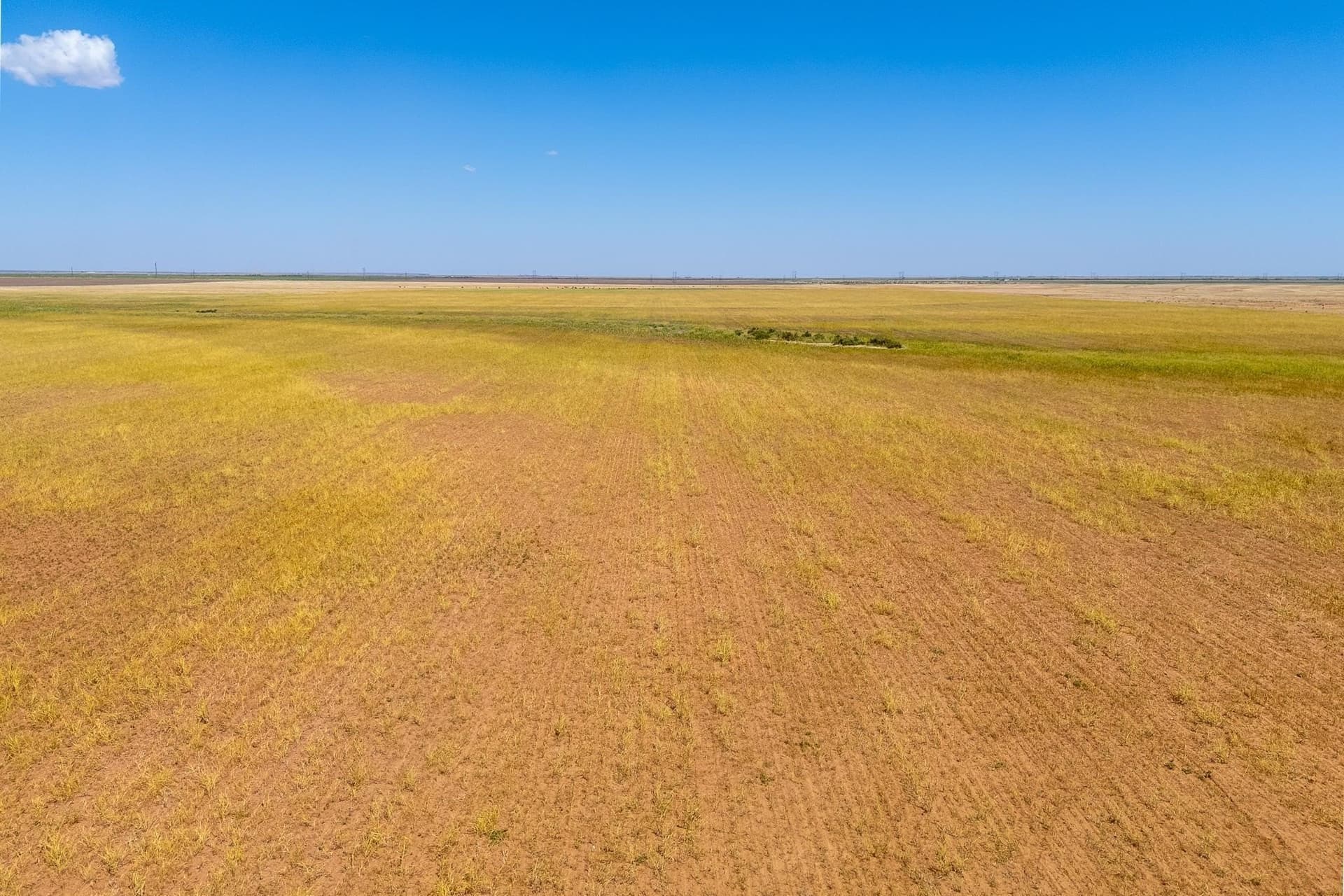 198.56 acres in Jones County - photo 19