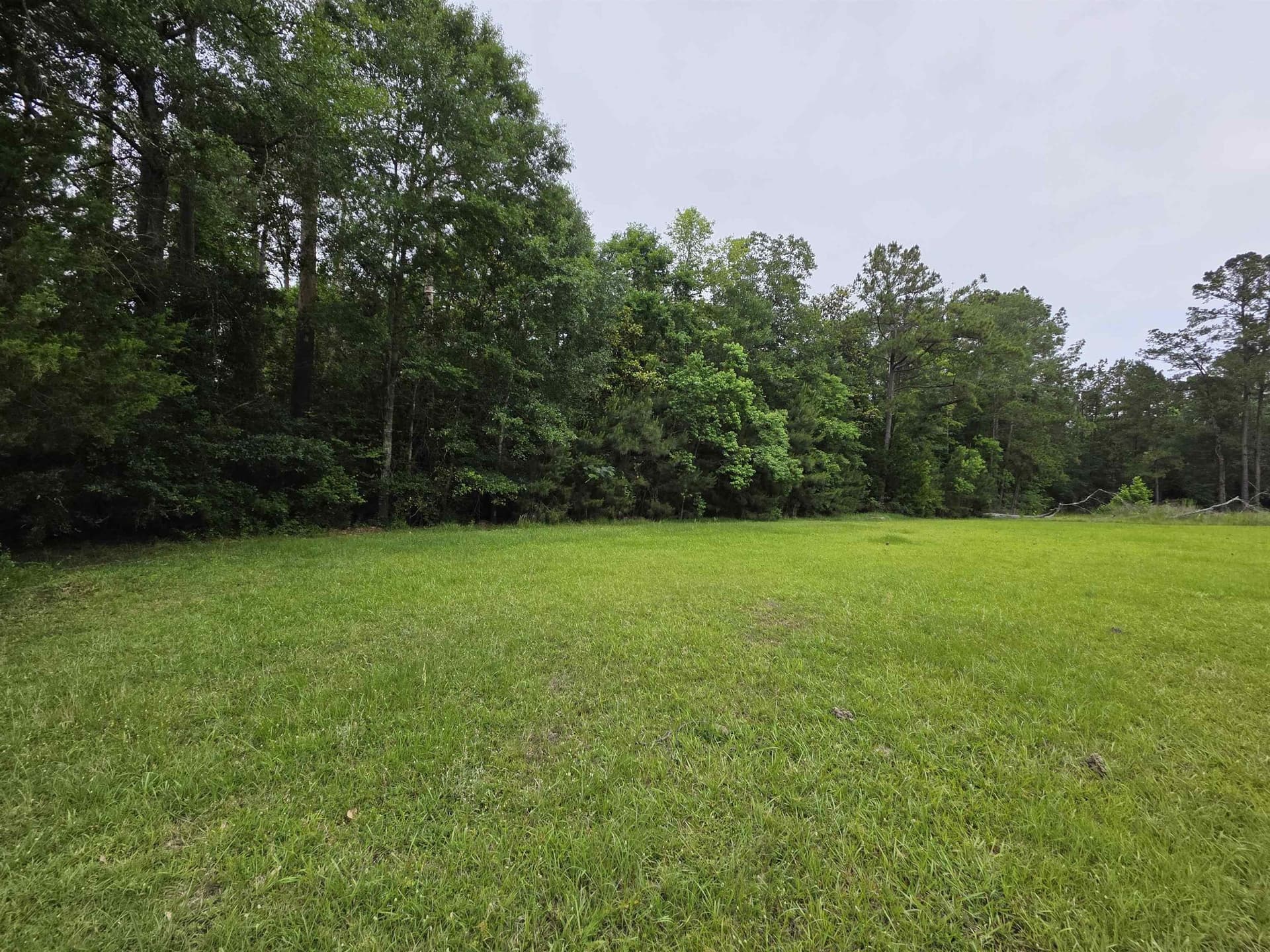 2 acres in Texas County gallery image 4