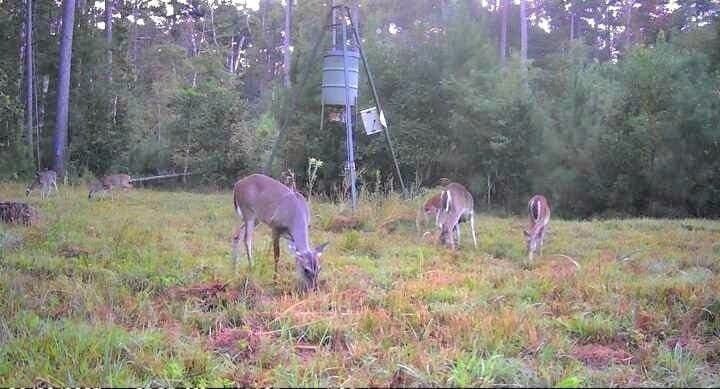 102 acres in Texas County - photo 27