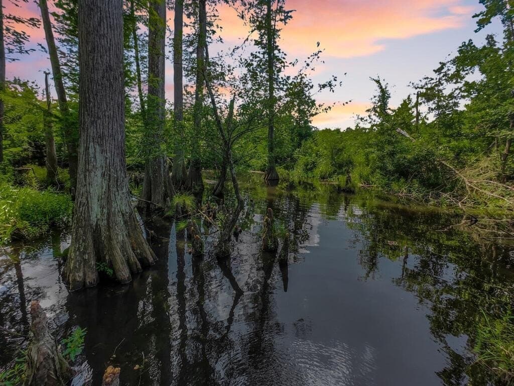 102 acres in Texas County - photo 34