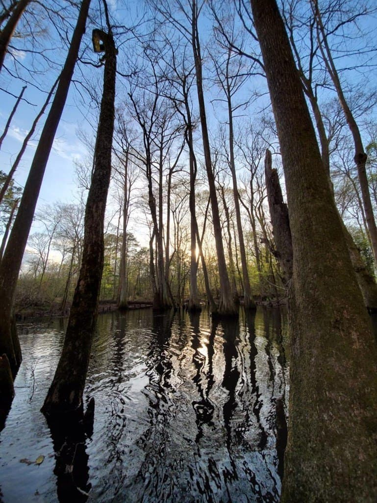 102 acres in Texas County - photo 25