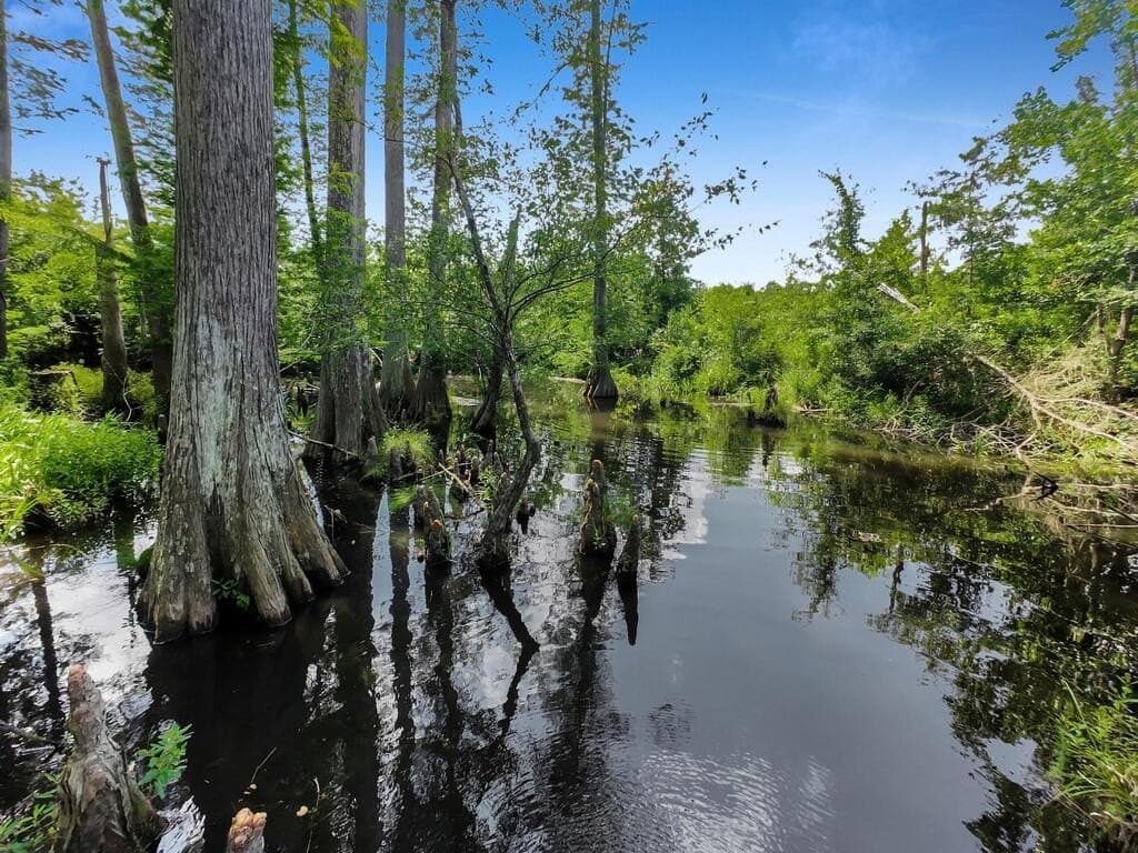 102 acres in Texas County - photo 28