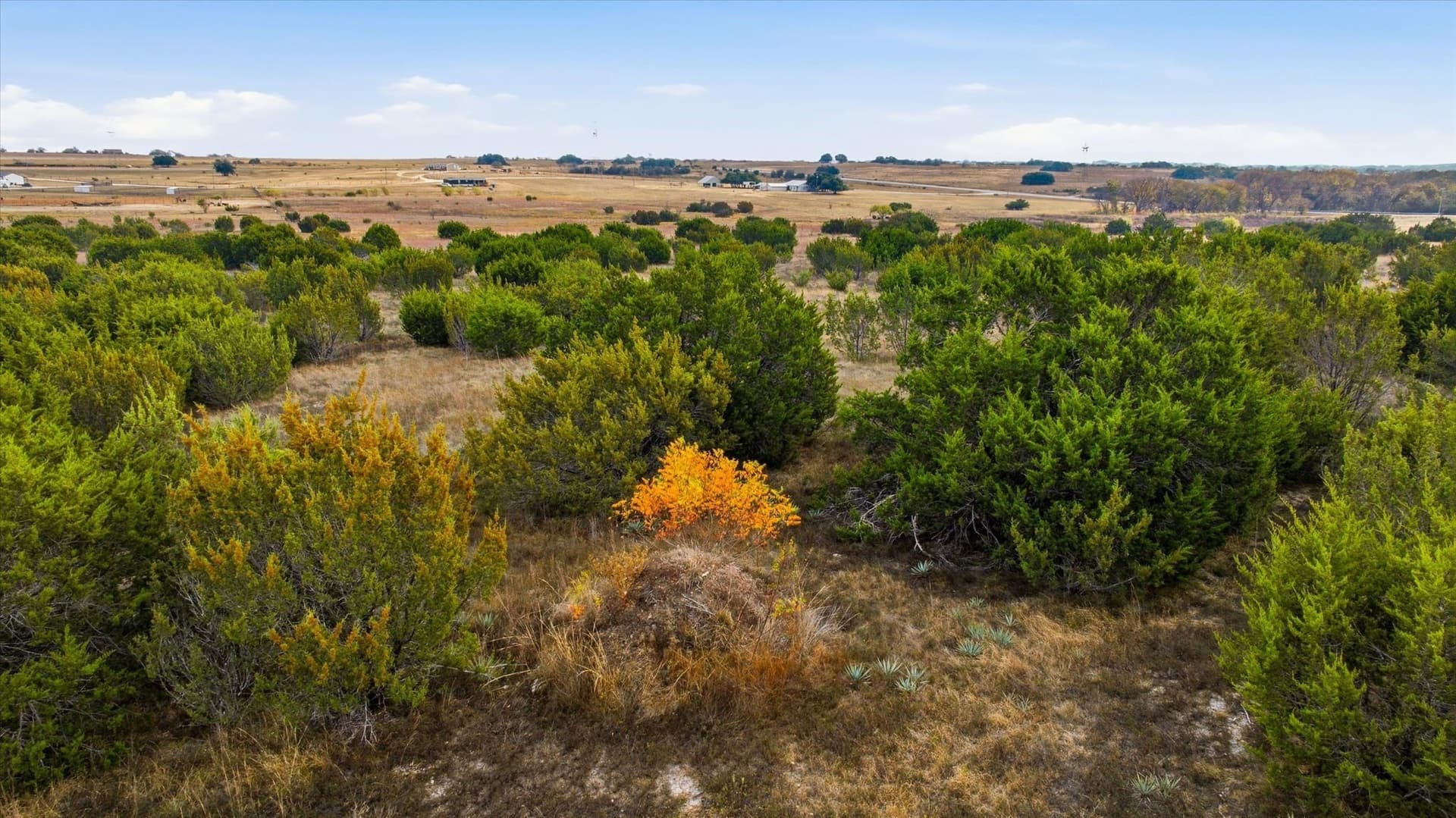 10.18 acres in Erath County - photo 18