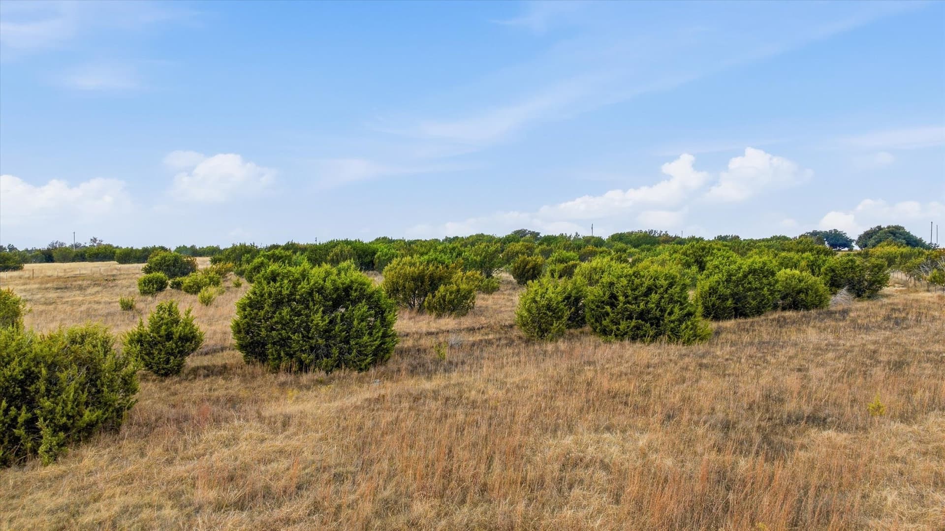 10.18 acres in Erath County - photo 15