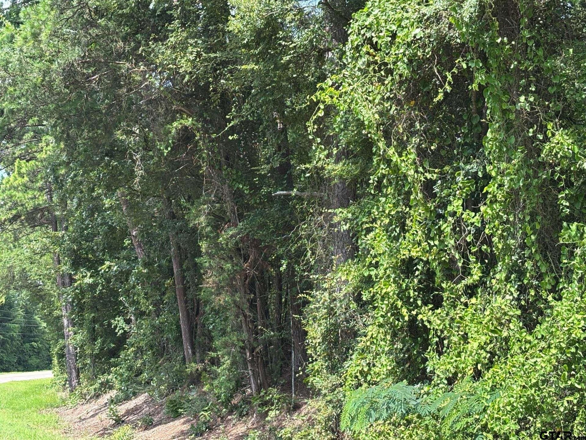 10 acres in Wood County gallery image 3