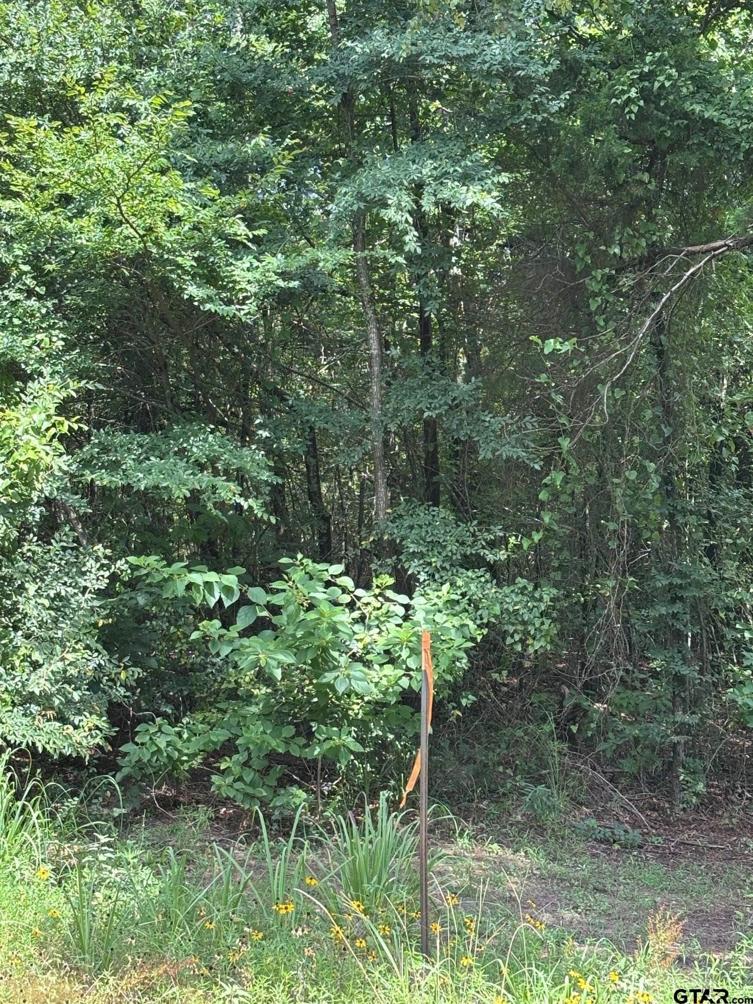 10 acres in Wood County featured view