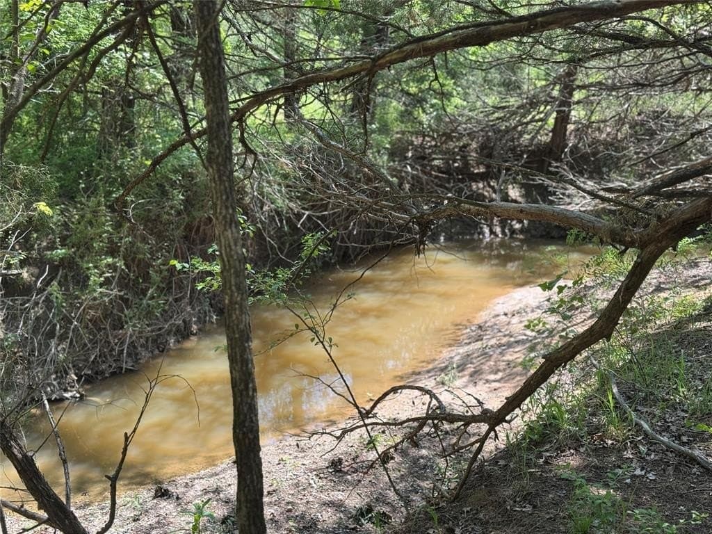 62.03 acres in Cooke County gallery image 4