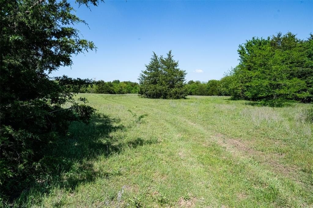 62.03 acres in Cooke County featured view