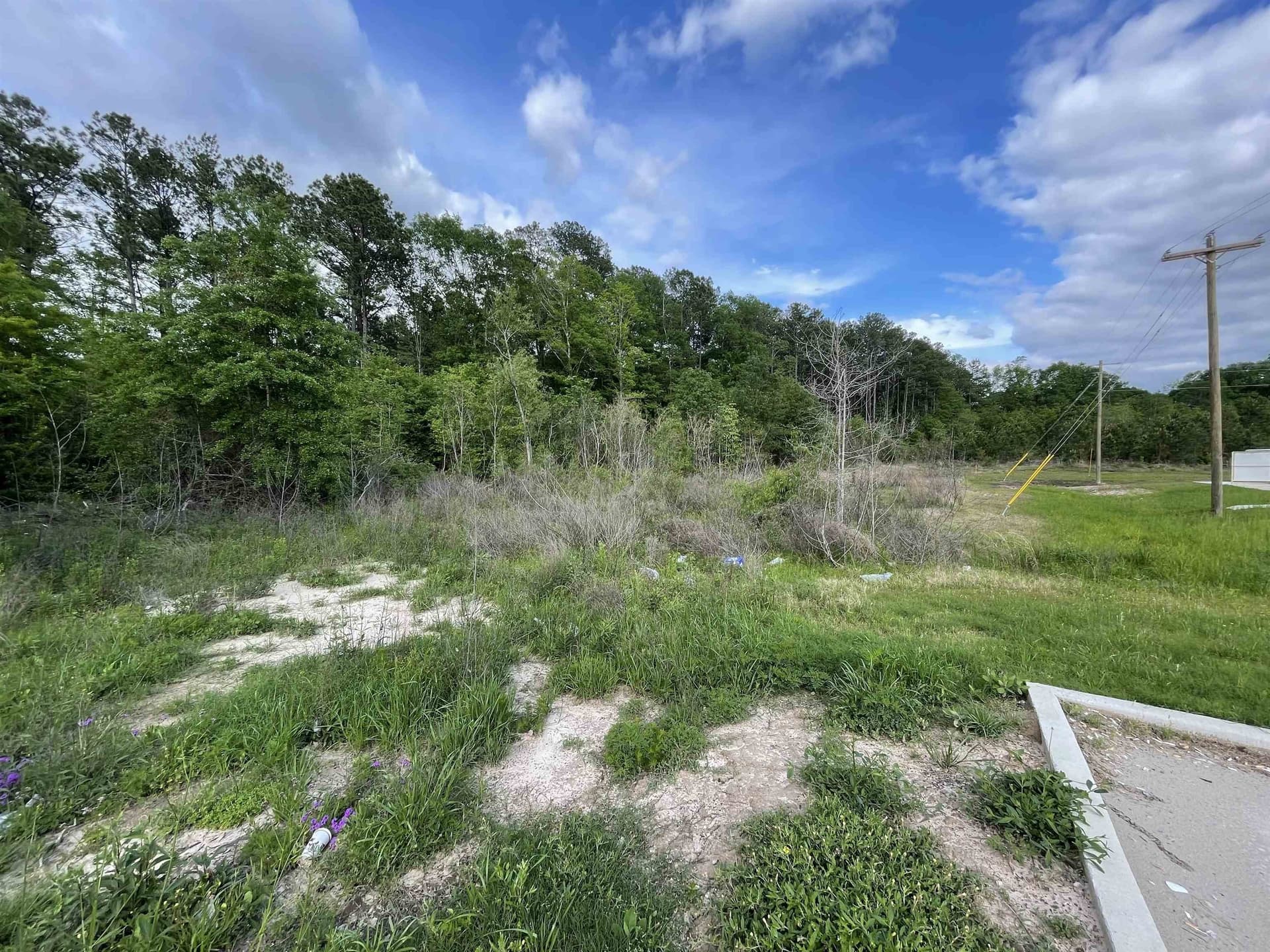 3.84 acres in Texas County gallery image 3