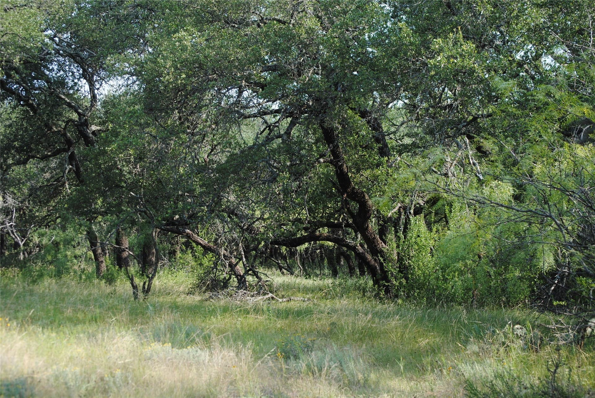 412.77 acres in Comanche County - photo 2