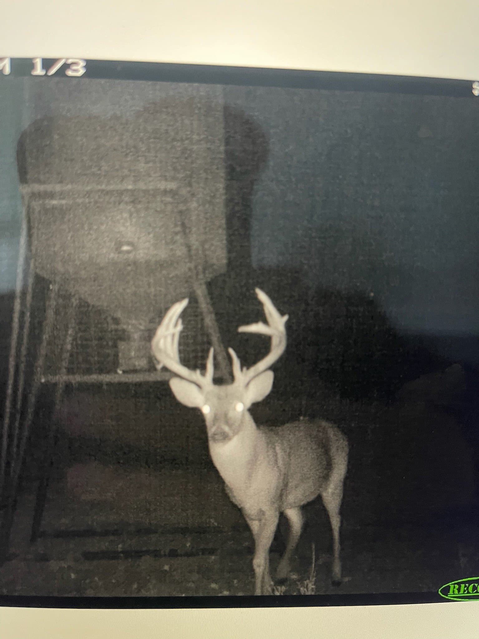 412.77 acres in Comanche County - photo 19