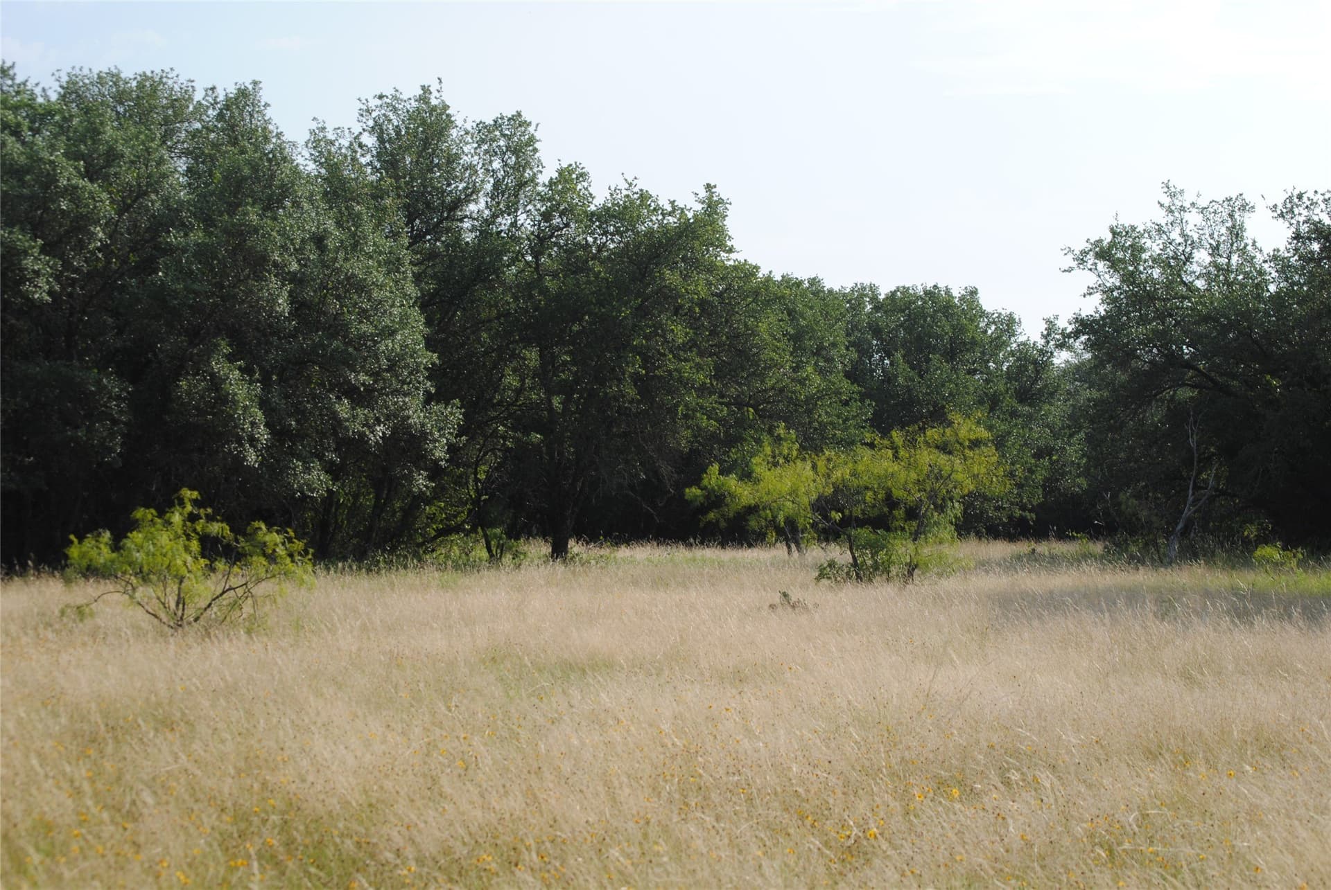 412.77 acres in Comanche County - photo 5