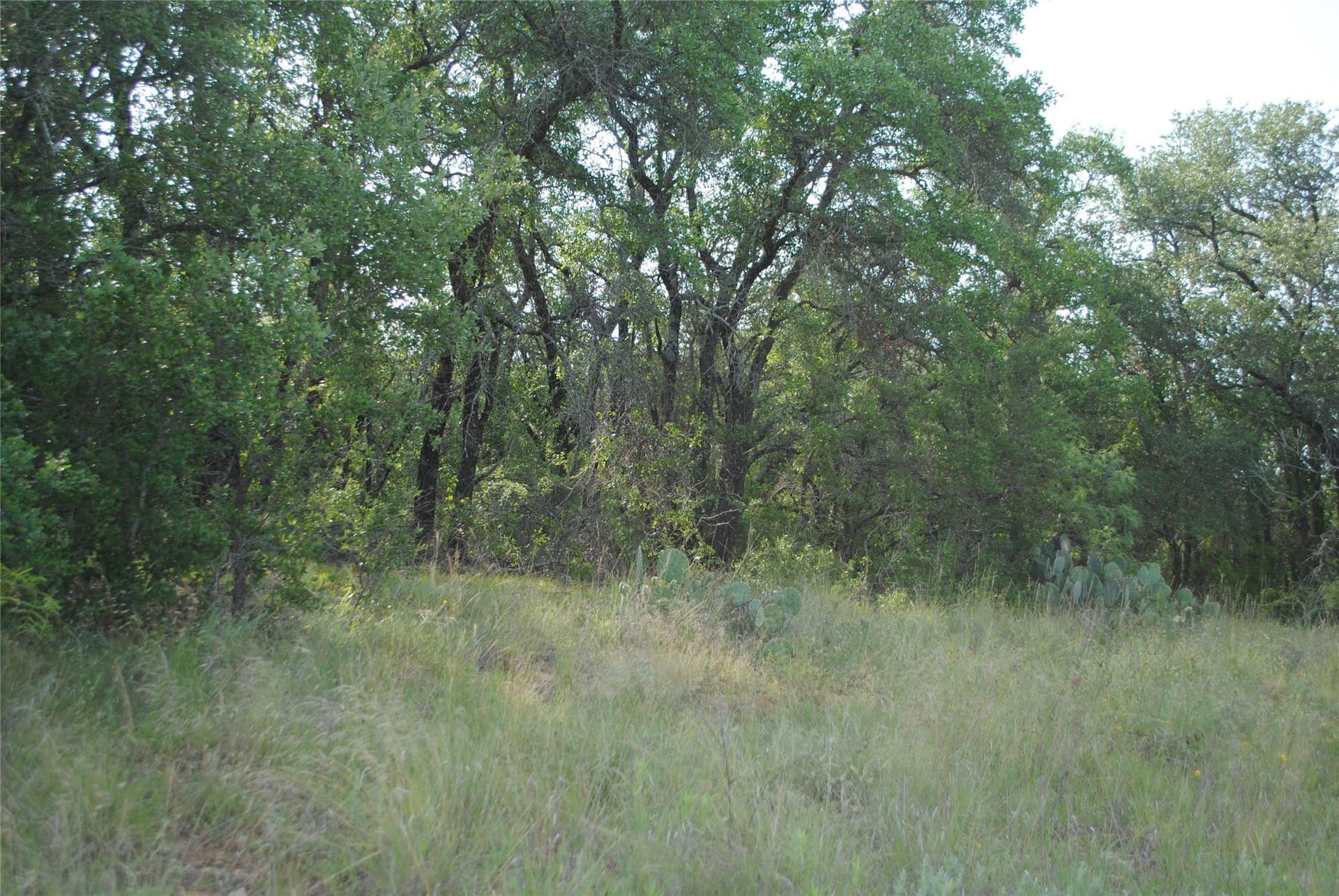412.77 acres in Comanche County - photo 9