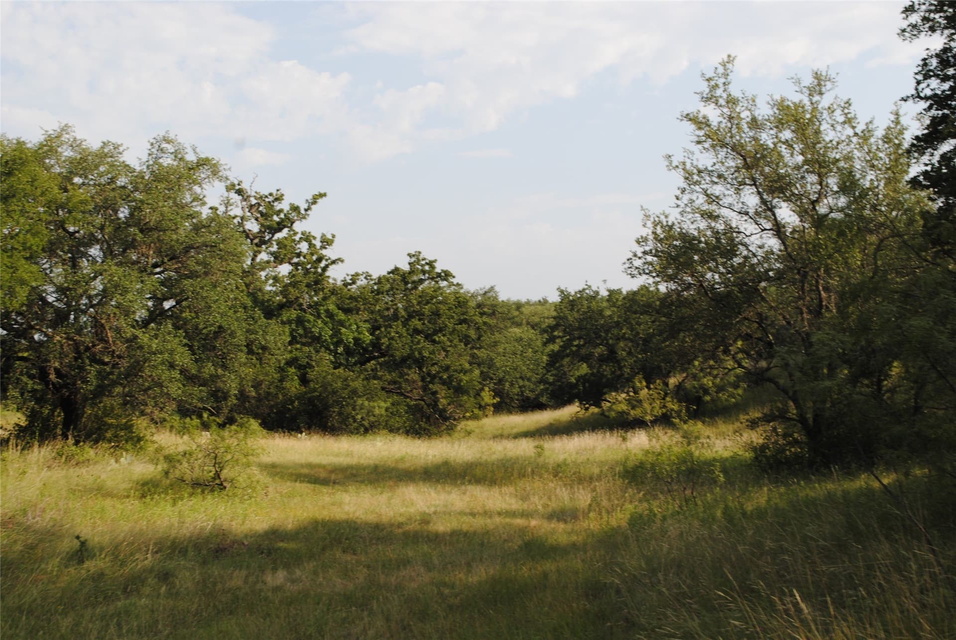 412.77 acres in Comanche County - photo 6