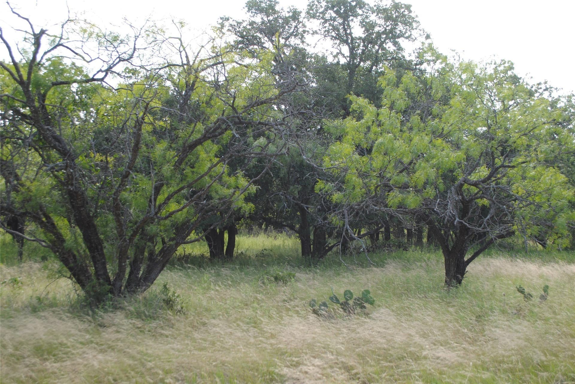 412.77 acres in Comanche County - photo 14